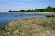 veldnamen-moordenaarsveen