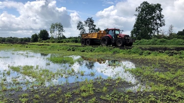 foto van de werkzaamheden